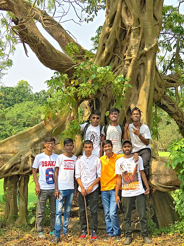 Huit Galopins prennent racine devant un banian au jardin botanique de Kolkata